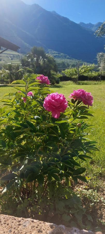 Relais Divino Ξενοδοχείο Ala Εξωτερικό φωτογραφία